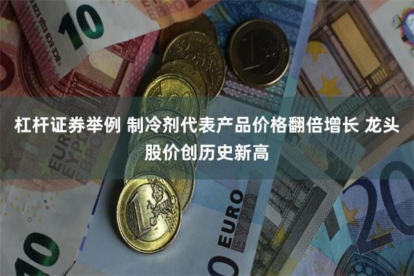 杠杆证券举例 制冷剂代表产品价格翻倍增长 龙头股价创历史新高