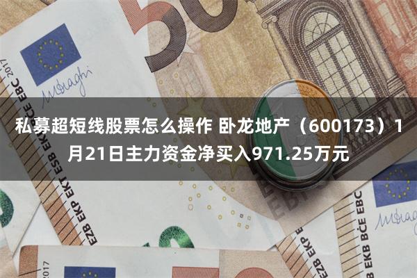 私募超短线股票怎么操作 卧龙地产（600173）1月21日主力资金净买入971.25万元