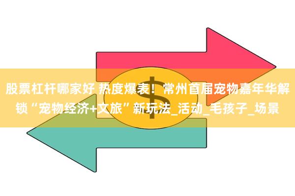 股票杠杆哪家好 热度爆表！常州首届宠物嘉年华解锁“宠物经济+文旅”新玩法_活动_毛孩子_场景