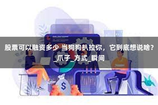 股票可以融资多少 当狗狗扒拉你，它到底想说啥？_爪子_方式_瞬间